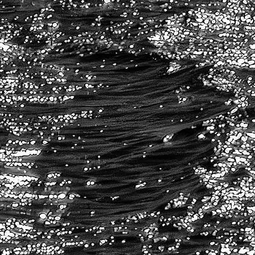 500 sq paddling_upstream