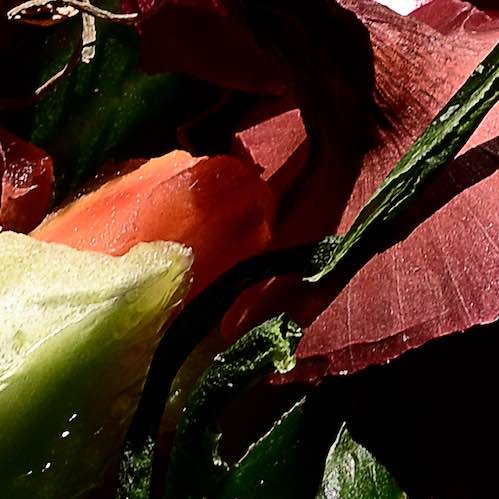 Veggies in Space - Fresh